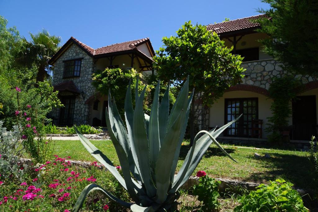Mountain Lodge Hotel Doger Koyu Exterior photo