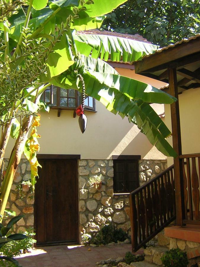 Mountain Lodge Hotel Doger Koyu Exterior photo
